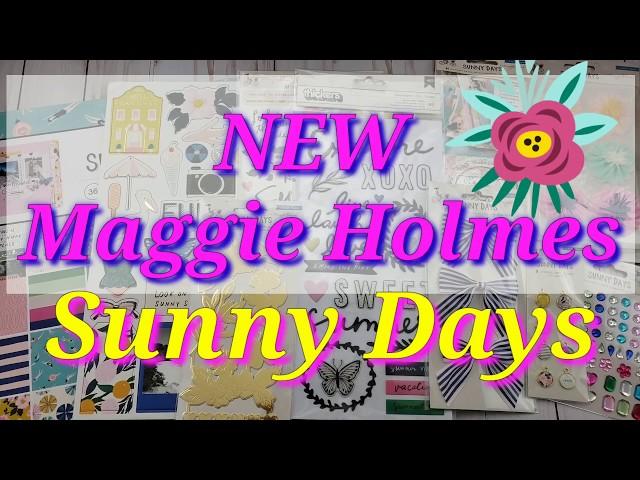 NEW!  Maggie Holmes! Sunny Days