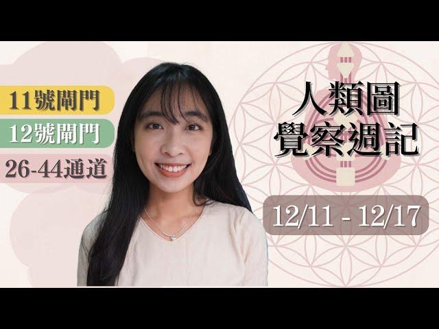 人類圖覺察週記｜12/11-12/17｜Yoko Tarot