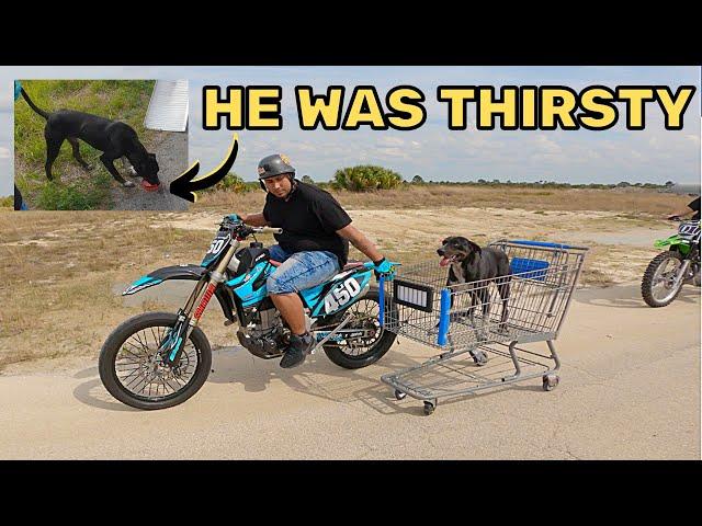 DIRT BIKERS RESCUE DOG | Mr2Moto