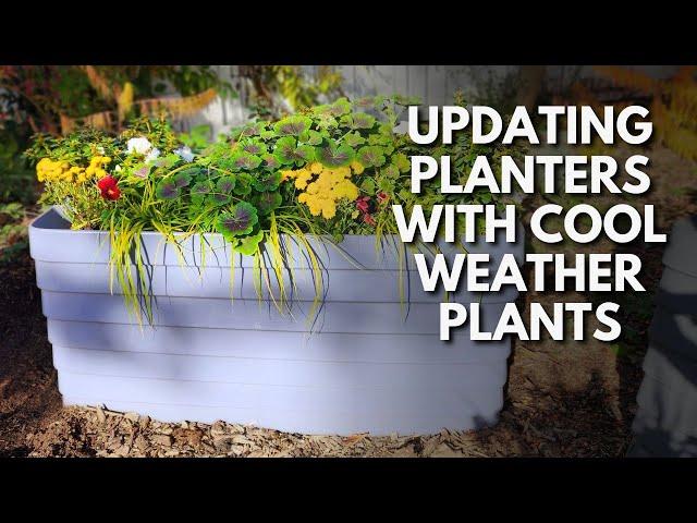 What to Plant in Your Fall Containers #garden #fallgarden #containers