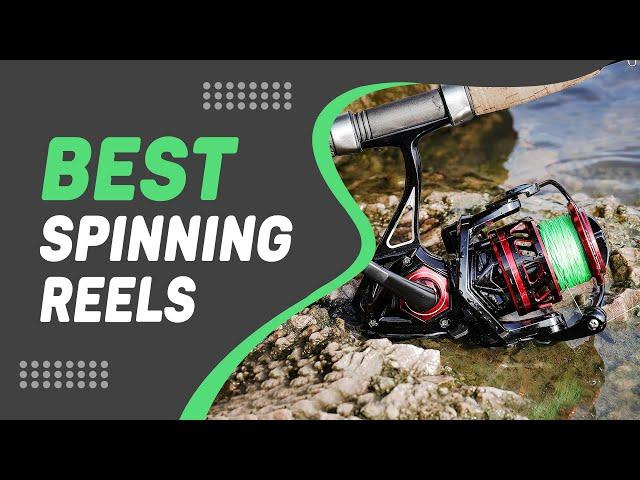 Best Spinning Reels in 2022 – Quick & Simple Guide!