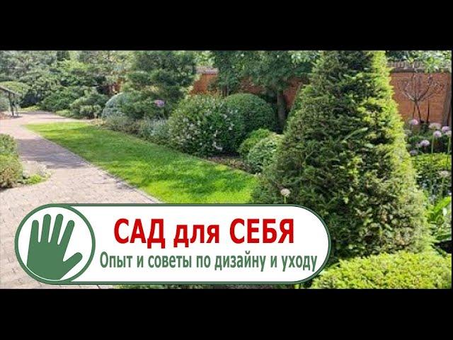 Видео журнал "СОФ №101"  САД для СЕБЯ. Опыт и советы по дизайну и уходу