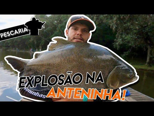 TANCÃO MAEDA, AÇÃO NA SUPERFÍCIE O DIA INTEIRO! - Aperta O Play!