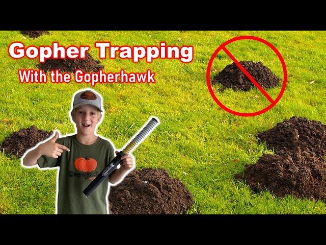 Gopher Trapping With The Gopherhawk! (Includes Catch)