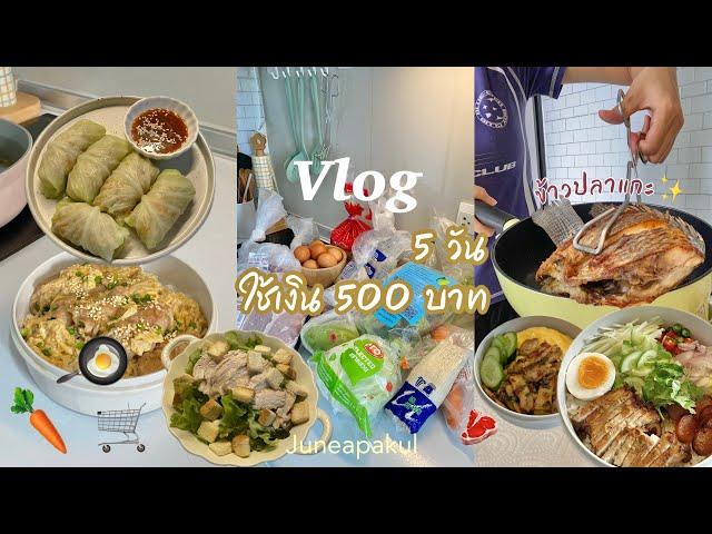 Vlog ทำอาหาร 5 วันใช้เงิน 500 บาท,จ่ายตลาดซื้อของ,ทำข้าวขยำหมู,ข้าวหมูสไลด์พันเห็ด,ข้าวปลาแกะ ep.3