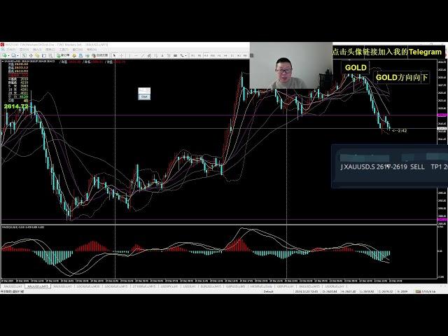 外汇交易直播 - 黄金外汇信号 - XAUUSD 外汇交易