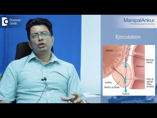 How Is Male Fertility Medically Evaluated? | Dr. Vasan SS | Fertility Test for Men - Manipal