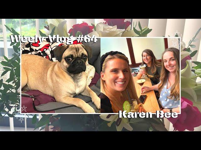 Birthday treats & Workplace Mansplaining | Weekly Vlog #64 | Karen Bee