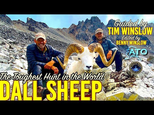 Hunting Dall Sheep with Timmy Winslow (ALASKA)