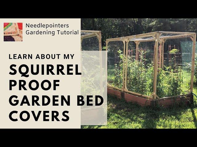 Squirrel Proof Raised Garden Bed Covers for Tomato Plants