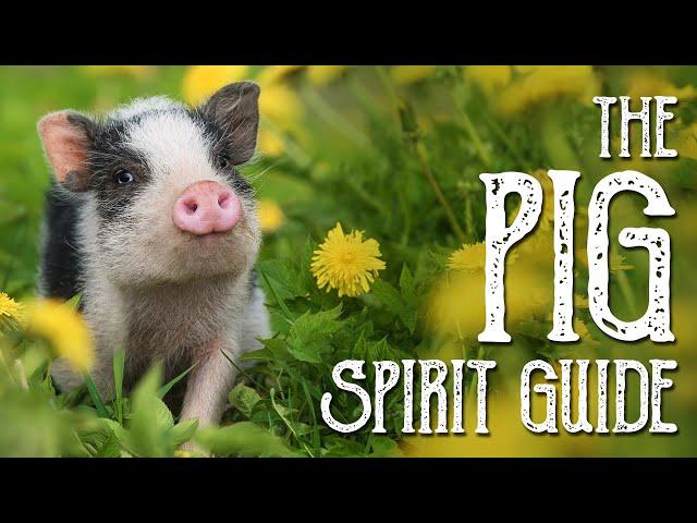 Pig Spirit Guide - Ask the Spirit Guides Oracle, Totem Animal, Power Animal, Magical Crafting