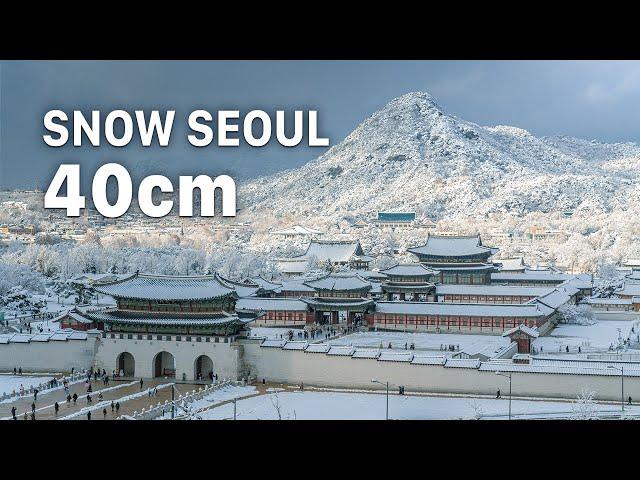 A Day in Gyeongbokgung Palace that has Become a White Kingdom | Seoul Winter Snow 4K HDR