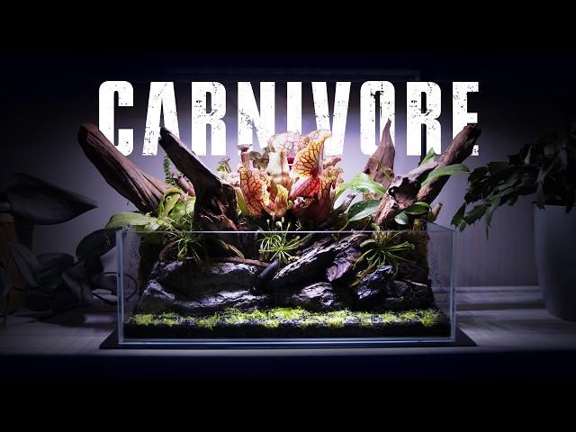 BUILDING A CARNIVOROUS PLANT ECOSYSTEM IN A SINKOR SIDEFIX 10L NANO TANK