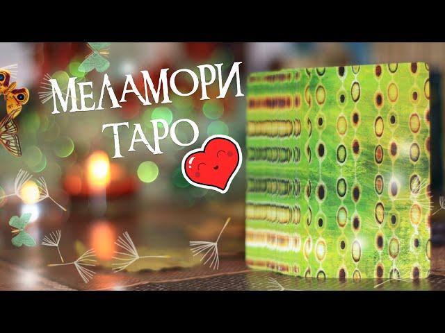 Как выбрать колоду таро | Колоды таро для новичков