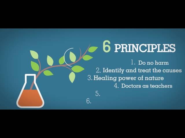 What Is Naturopathic Medicine?