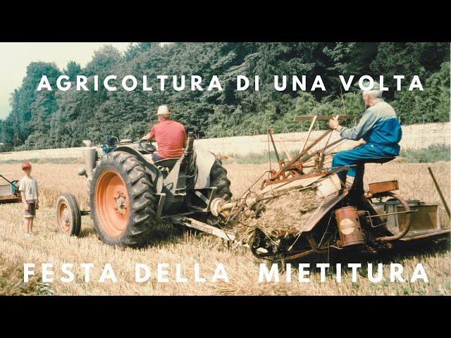 Raccolta del grano fare il fieno agricoltura di una volta festa della mietitura vecchi trattori