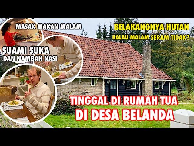 MALAM HARI DI RUMAH DESA DI BELANDA | MASAK UNTUK MAKAN MALAM