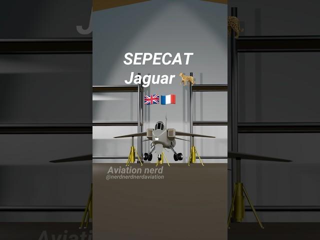 SEPECAT Jaguar  landing gear swing #aviation #aviationgeek #blender3d