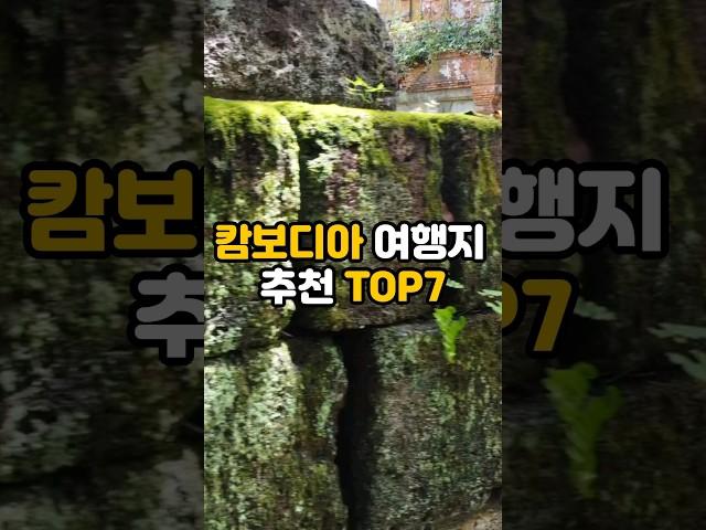 동남아 여행 / 캄보디아 여행지 추천 TOP7