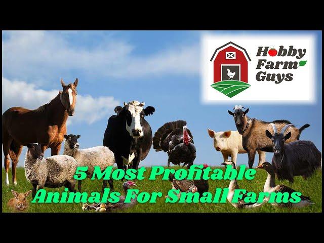 The 5 Most Profitable Animals for Small Farms