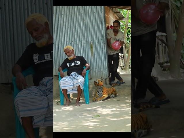 TOP FUNNIEST FAKE TIGER PRANK ON GRANDPA! | SAGOR BHUYAN