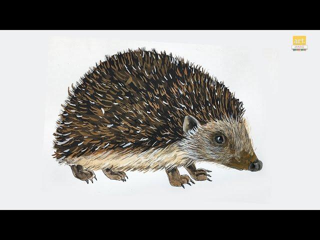 How to draw A Hedgehog II Sonic Hedgehog drawing easy II #artjanag