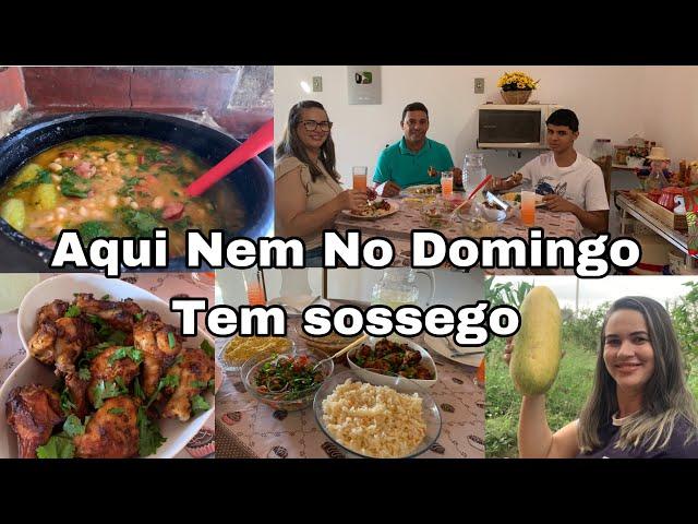 Roça é um trem muito abençoado,Que nem o domingo tem sossego- almoço rapido passeio e colheita