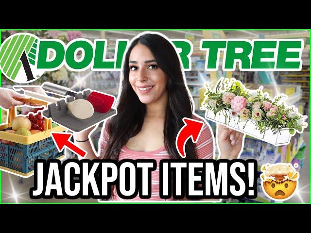 20 things you ACTUALLY should be buying at Dollar Tree March 2024 (from a pro!)