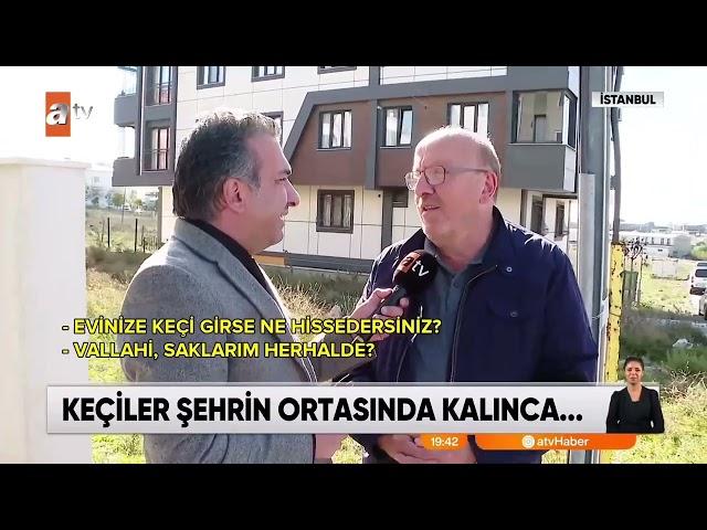 Sonunda KEÇİLERİ KAÇIRDIK