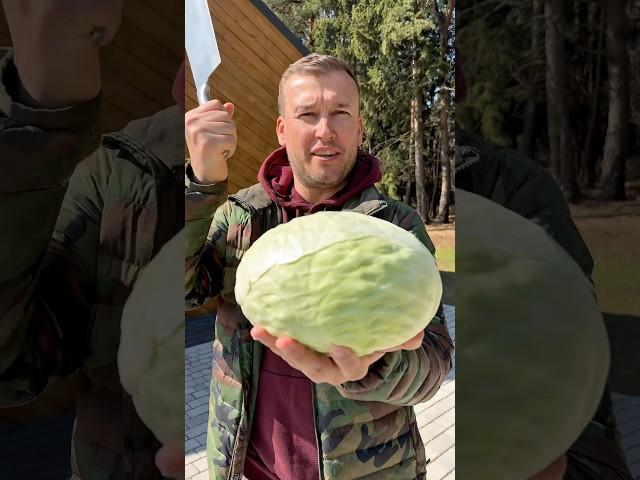РЕЦЕПТ ЗАКУСКИ ДЛЯ ИСТИННЫХ ГУРМАНОВ!