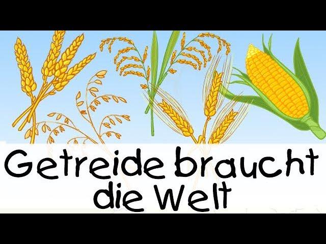  Getreide braucht die Welt || Kinderlieder zum Lernen