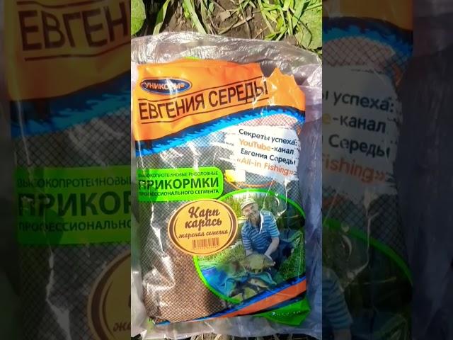 жена рыбачка прикомка Евгения Середы сработала! всем НХНЧ