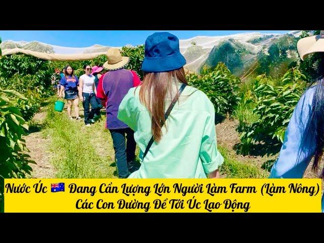 Nước Úc  Đang Cần Lượng Lớn Người Làm Farm (Làm Nông). Các Con Đường Để Tới Úc Lao Động