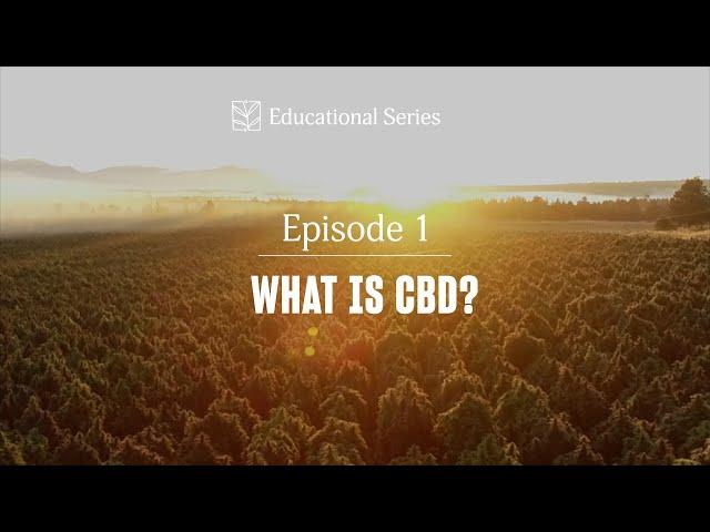 Episode 1 | What is CBD? | CBD 101