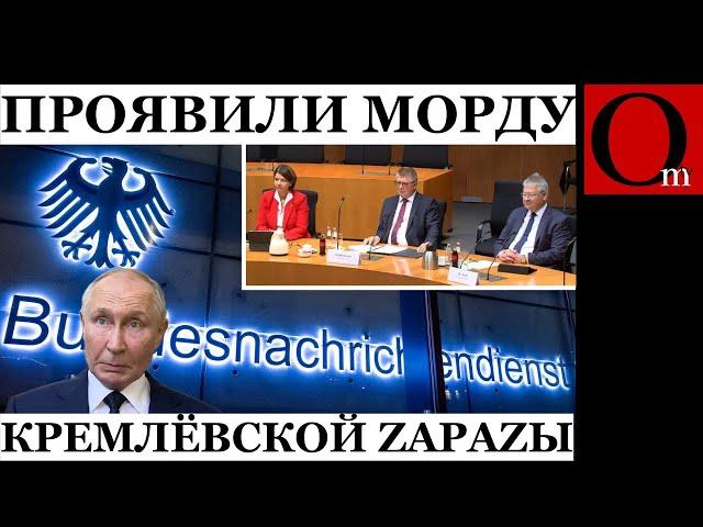 Putler overplayed! German intelligence opened eyes to the danger of the Russian Federation.