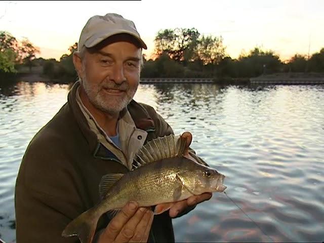 Record Breaking Fish Roach, Perch, and Zander