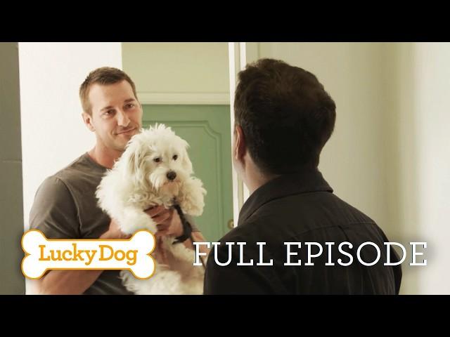 Stray Dog Becomes a Therapy Dog for Kids!  Mitzi Full Episode | Lucky Dog