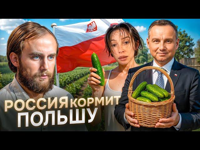 РУССКИЕ ЖИВУТ ЛУЧШЕ ВСЕХ? | #ШО 86