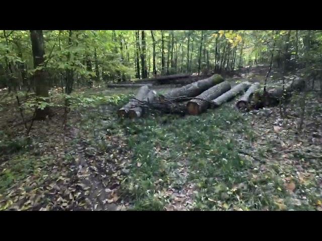 October Bike Trip. Capriana Forest. Moldova. 2024-10-26