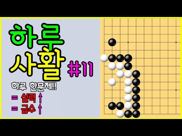 #baduk #바둑사활 /  백이 끼웠을때 침착! 정답은 패  / #사활문제 #15