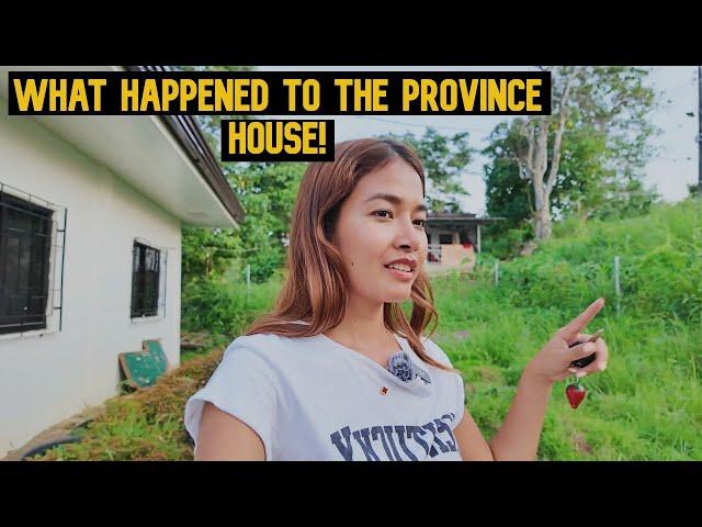What Happened To My Province House