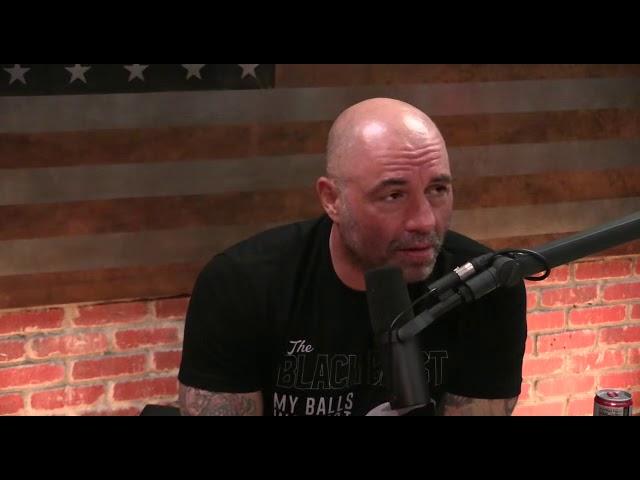 Joe Rogan ( @PowerfulJRE ) talks about Kyokushin Karate