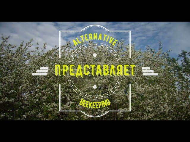 Конструкция улья со смещëнными рамками.