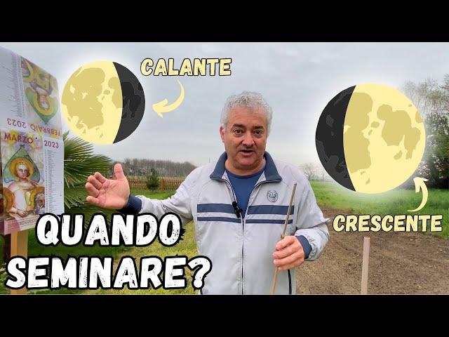 Seminare nell'ORTO in LUNA CALANTE o CRESCENTE? Scopriamolo!