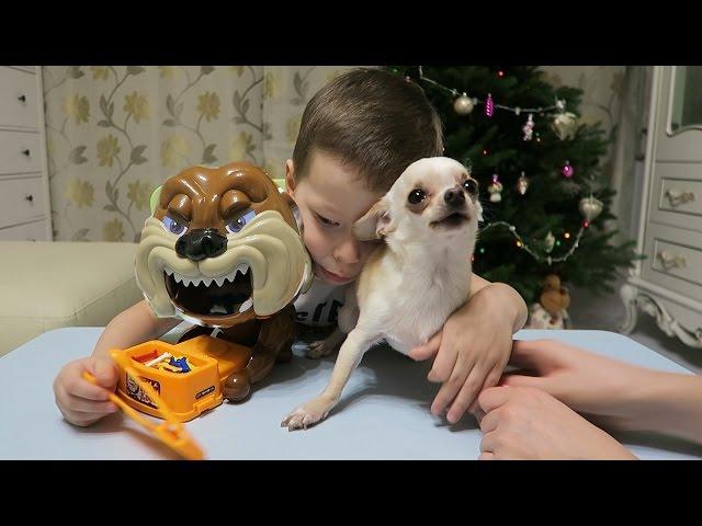 Плохой Пёс напугал Пилота / BAD DOG  Challenge