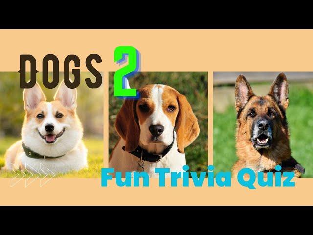 【Fun Trivia Quiz】Dog Trivia Quiz 2