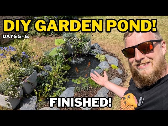 GARDEN GOLDFISH POND. My BIGGEST project yet! Plants, Lights, Fish and finishing touches (Part 2)