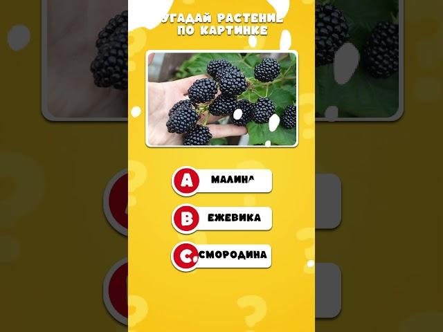 УГАДАЙ РАСТЕНИЕ ЗА 3 СЕКУНДЫ!  САМЫЙ ВЕСЁЛЫЙ КВИЗ ПРО ЦВЕТЫ И НЕ ТОЛЬКО! #растения #угадайка #квиз
