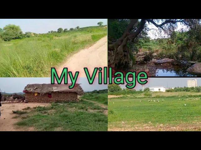 My village tour|| ہمارے گاؤں کی نہر|| little huts in village||  خانہ بدوش لوگ||