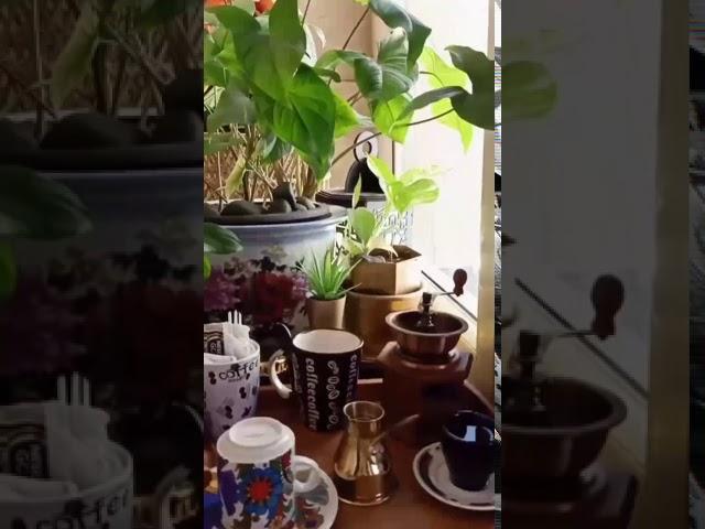 عزيز وغالي إنتَ يا نور عيني